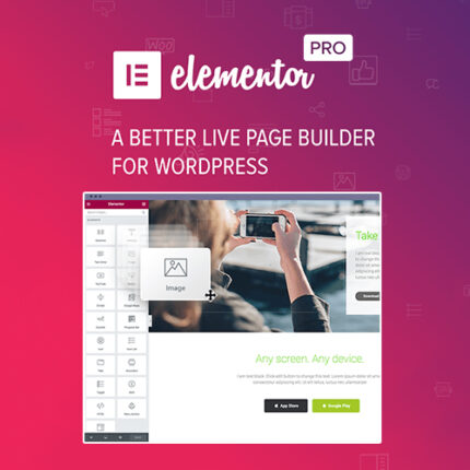 Elementor Pro