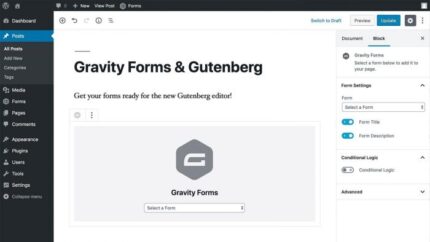 Gravity Forms Gutenberg