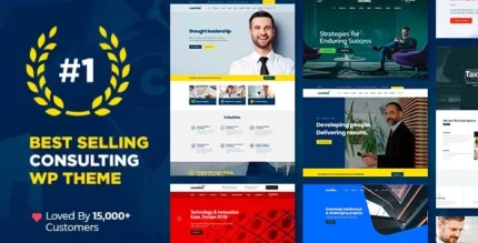 Consulting Theme