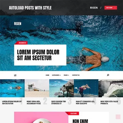 MyThemeShop Risen WordPress Theme 1.1.3
