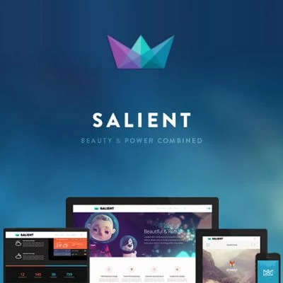 Salient Theme