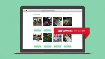 Themotion WordPress Theme