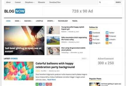 HappyThemes BlogNow Pro 1.6