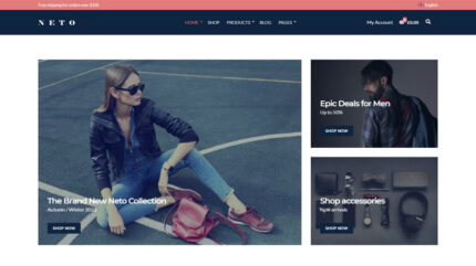 Neto WordPress Theme By CSS Igniter
