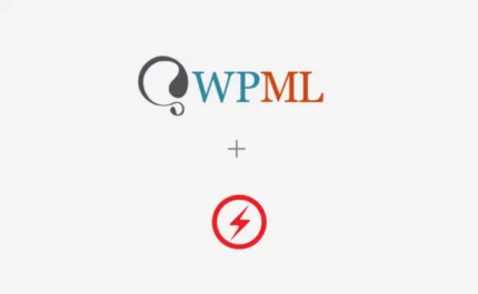 WPML For AMP