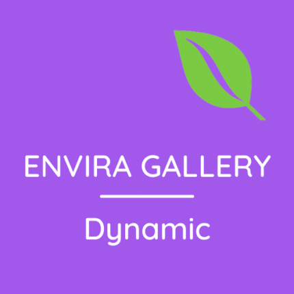 Envira Gallery – Dynamic Addon