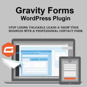 Theme Pack For Gravity Forms - ToolsZilla