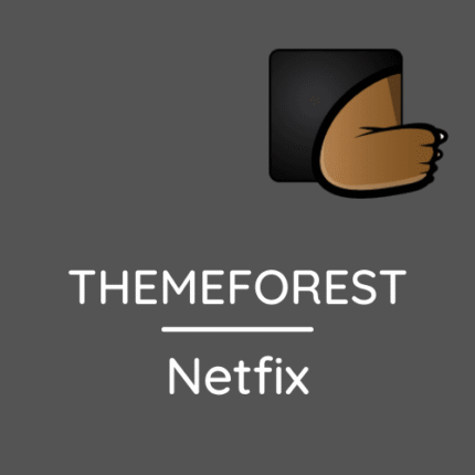 Netfix – Broadband & Internet Services WordPress Theme